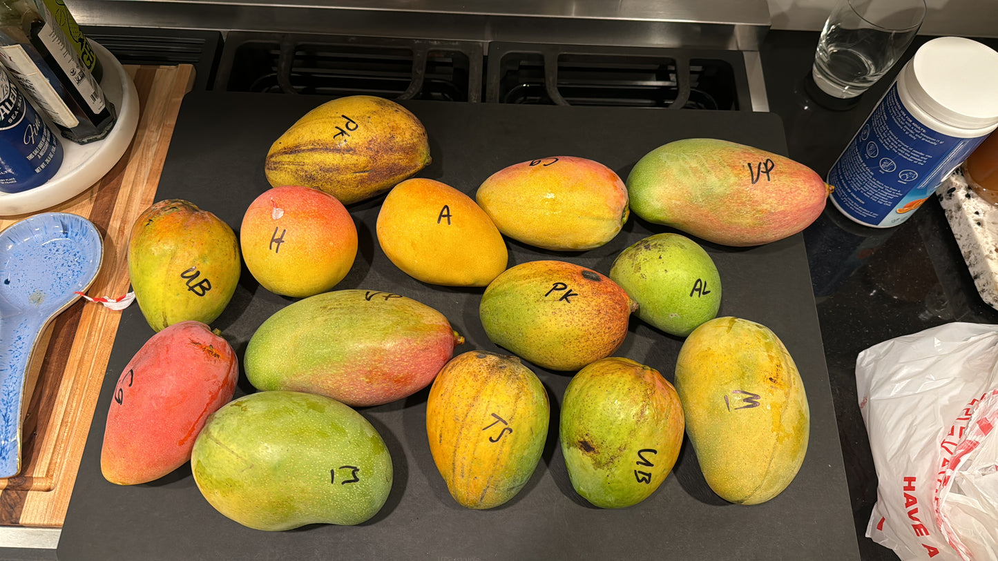 5 Variety Mango Box