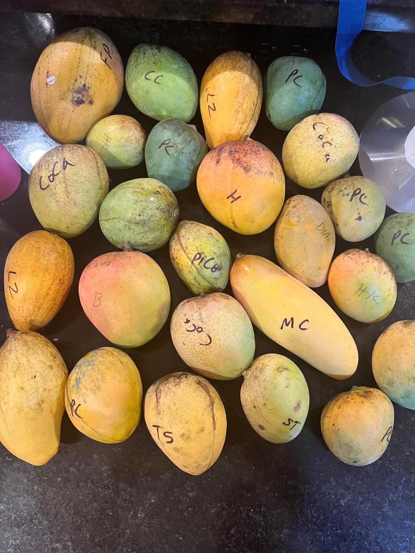 5 Variety Mango Box